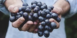 خواص انگور قرمز برای پاکسازی کبد