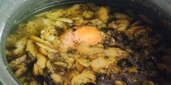 طرز تهیه خورش باقلا قاتق