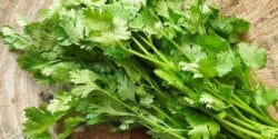 خواص و مضرات گشنیز