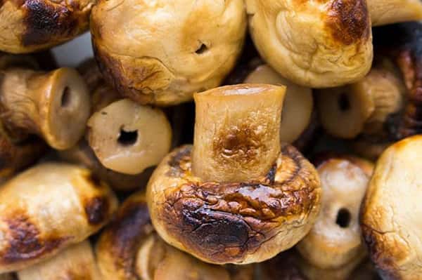 طرز تهیه قارچ کبابی روی زغال و روی گاز , دستور پخت قارچ کبابی طعم دار شده
