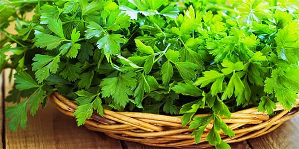 خواص و مضرات جعفری , فواید و خاصیت های جعفری , عوارض و زیان های جعفری , o hw utvd