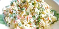طرز تهیه سالاد روسی