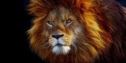 متن تبریک تولد مرداد ماهی ها