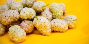 خواص و مضرات توت سفید