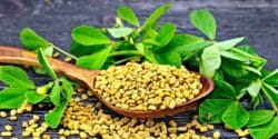 خواص و مضرات شنبلیله