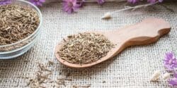 خواص و مضرات سنبل الطیب