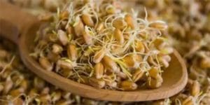 خواص جوانه گندم برای قلب