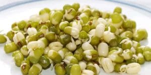 خواص جوانه ماش برای لاغری