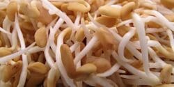 خواص و مضرات جوانه شنبلیله
